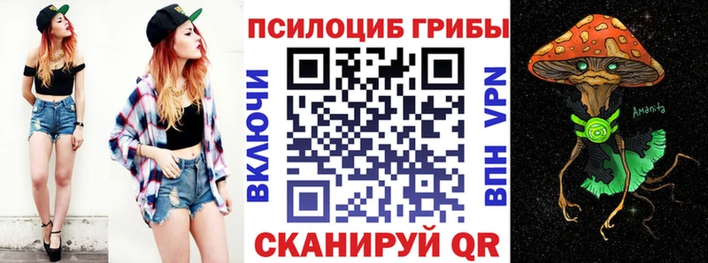 дарнет шоп  Железногорск  Галлюциногенные грибы GOLDEN TEACHER 